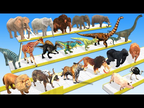 Wild Animals vs Dinosaurs vs Mammoth Elephants Speed Race Run Zigzag Down Course! Animal Revolt