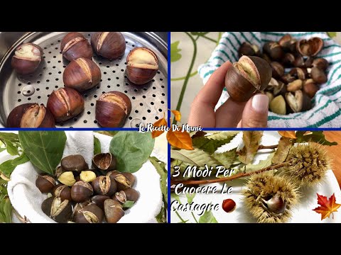 3 MODI DIVERSI PER CUOCERE LE CASTAGNE - CALDARROSTE PERFETTE IN POCHISSIMO TEMPO | Cook Chestnuts