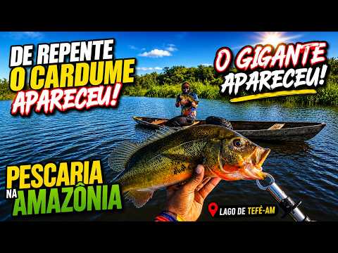 De repente o cardume apareceu e o gigante saiu Pescaria na Amazônia