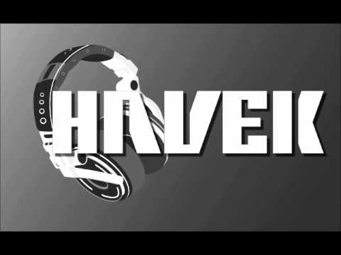 DJ Havek Mashup LMFAO Vs Busta Rhymes - C'mon and Party