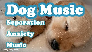 3 Hours of Anti Anxiety Music for Dogs: Cure Separation Anxiety with Dog Music & Dogs Calming Music
