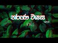 Sithi J Tharuna Wayasa තරුණ වයස Lyrics Video Sithij