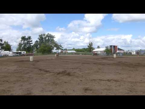 Whiskey Running Barrels in Novice Horse