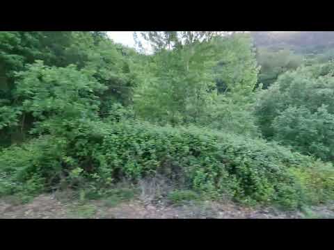 CP, Douro, 1400s - behind 1436, 24/04/24 on IR 875