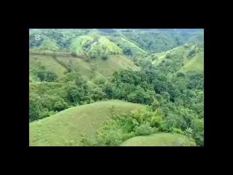 FINCA GANADERA DE 84 HECTAREAS