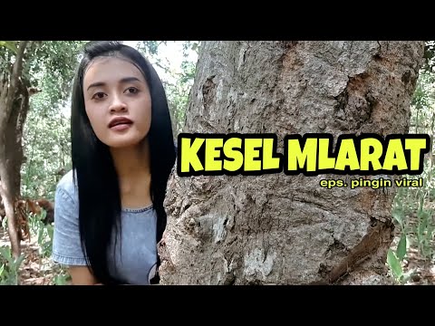 kotijah-kesel-mlarat-senton-dukun-abal-abal-gendut-kesel-mlarat