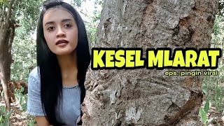 Download lagu KOTIJAH KESEL MLARAT - SENTON DUKUN ABAL ABAL - GENDUT KESEL MLARAT mp3