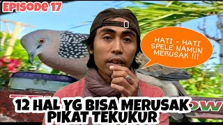 Download lagu CARA MERAWAT PIKAT TEKUKUR AGAR TIDAK RUSAK DAN TETAP STABIL. mp3 Download lagu CARA MERAWAT PIKAT TEKUKUR AGAR TIDAK RUSAK DAN TETAP STABIL. mp3