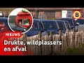 Buurt is chaos door aardbeien-drive-in zat | Omroep Brabant
