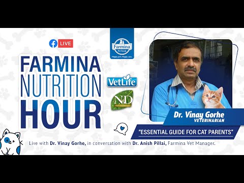 Essential Guide For Cat Parents- Farmina Nutrition Hour