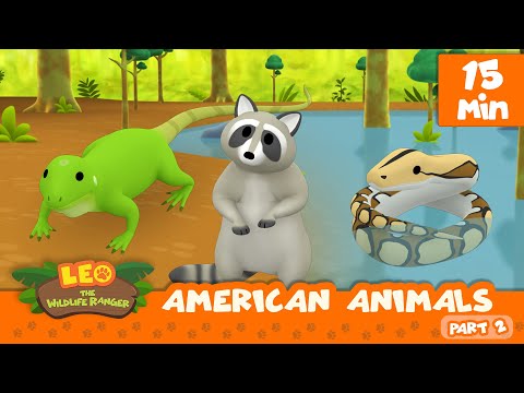 American Animals Minisode Compilation (Part 2/2) - Leo the Wildlife Ranger | Animation | For Kids