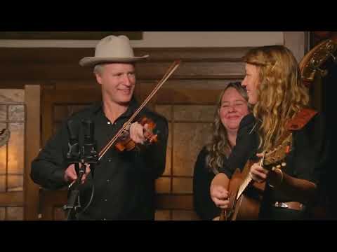 Foghorn Stringband - Whoa Mule