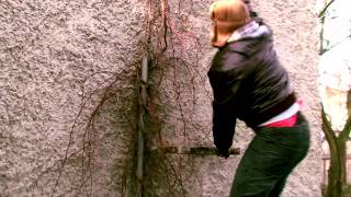 Video Words (Official video)