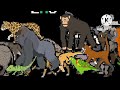 Asia Animals Collecion Kids Picture Show