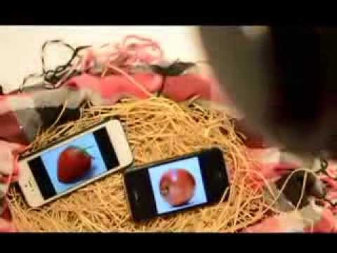 Egrégora Publicidade - Making Of Natureza Morta