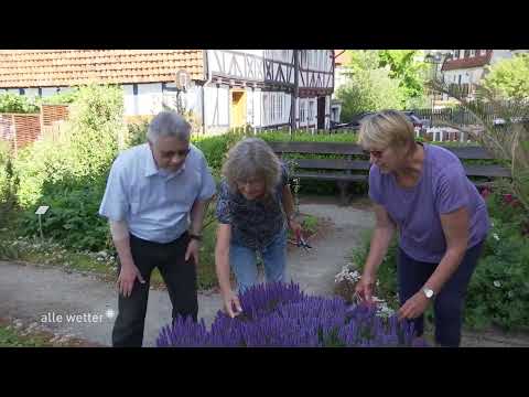 Projekt vom 17.06.2022 "Anlage und Pflege einer Blumenwiese"