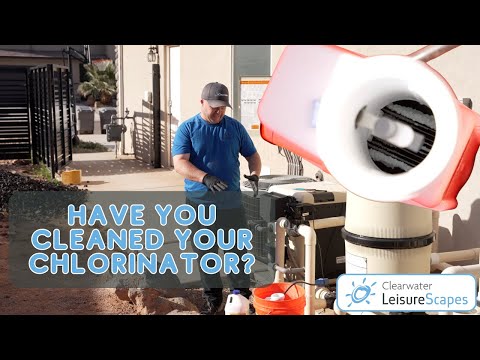 How to Clean Your Salt Chlorinator (Step-by-Step)