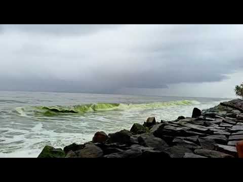 GREEN SEA @CHELLANAM