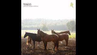 Tosca - Rosa (Rodney Hunter Version)