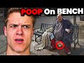 The Poop Bench Incident