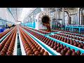 How Chocolate Easter Eggs Are Made In A Factory