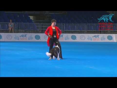 FCI Dog dance World Championship 2016 – Freestyle final  - Monika Ballerini and Breeze (Switzerland)