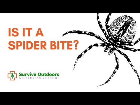 What is a Spider Bite?