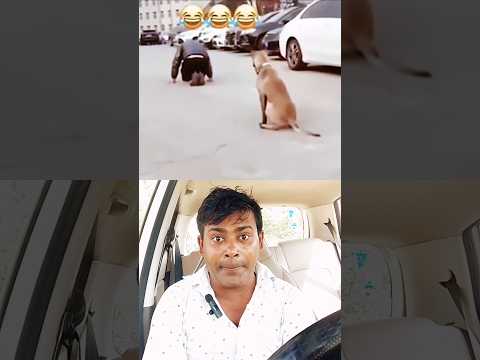 DOG KA VIDEO 😭......   #shorts #funny
