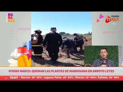 Vivero narco : Así fue la quema de marihuana en Arroyo Leyes