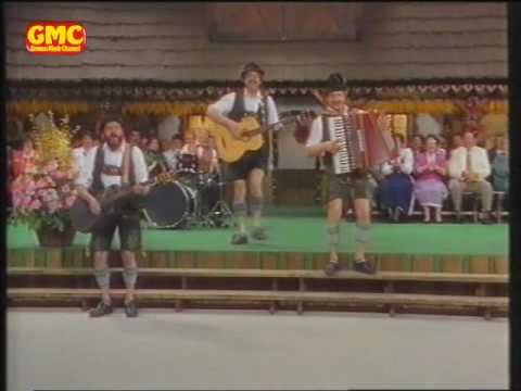 Die 3 Z'widern - Hit-Medley