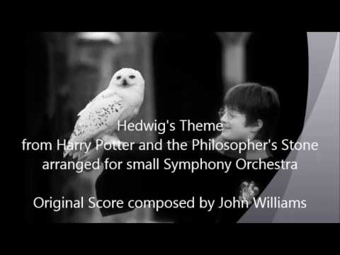 Hedwig's Theme - arranged for small Symphony Orchestra