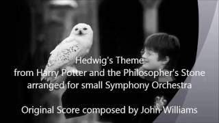 Hedwig's Theme - arranged for small Symphony Orchestra