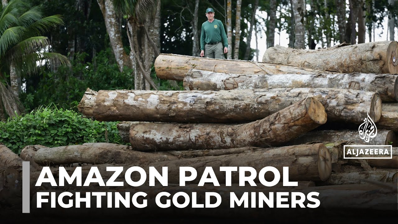 Patrolling the Amazon rainforest: Brazil's environmental agency tackles illegal mining