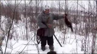 preview picture of video 'Pheasant hunting in Russia 2009 5.avi'