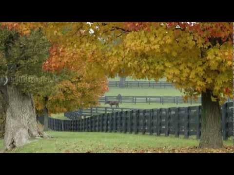 Oktet Kavadarci - ,, Sal si odam, sal si pitam''