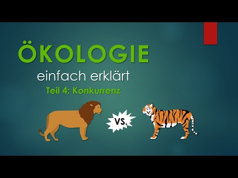 4. Konkurrenz | ÖKOLOGIE einfach erklärt