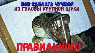 Как убрать голову грифона с плотвы