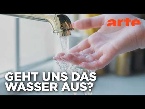 Video Thumbnail: Umgang mit Wasser | The Future with Hannah Fry (4/6) | ARTE