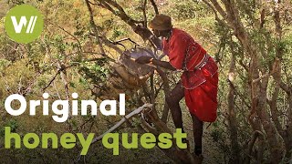 Bees as a necessity for the Yaaku population | Master of Bees (Kenya)