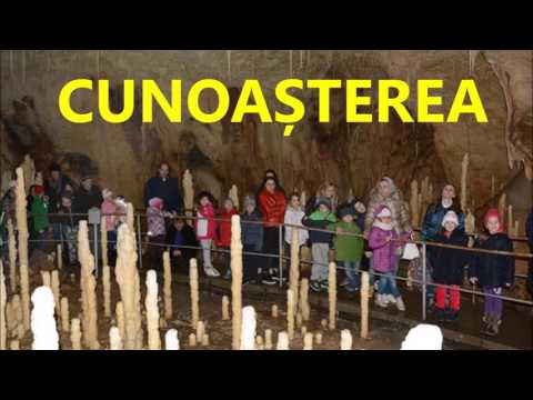 Prezentare Colegiul National Preparandia - Dimitrie Tichindeal Arad