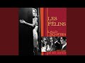 Theme from Les Félins