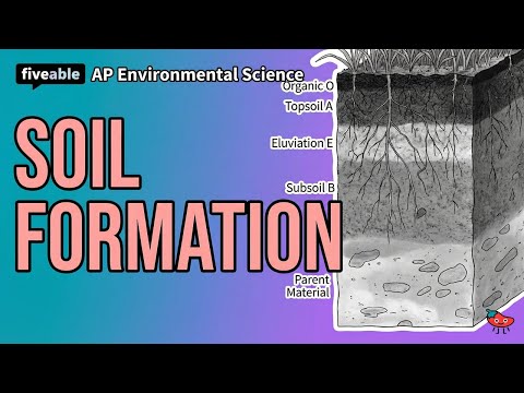 AP Environmental Science - Soil Formation & Composition