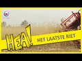 HEA! Het laatste riet