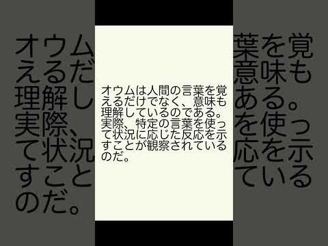 なぜコマドリを庭に呼び寄せることが次の目標なのでしょうか?この社交的な鳥はどのような象徴性を持っているのでしょうか？  庭園