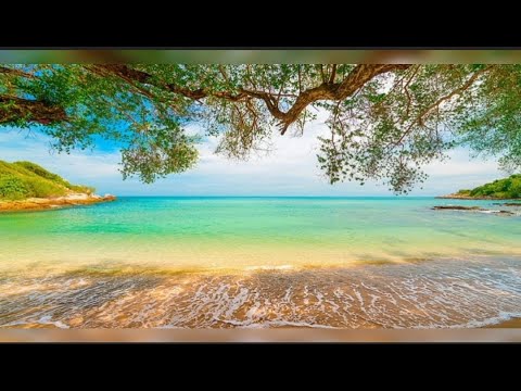 💛Amazing Energy Vibration to clear negative thoughts.💛