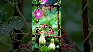 Download lagu #90severgreen #lovestatus #lyrics #shortsfeed #youtubeshorts #ytshorts mp3