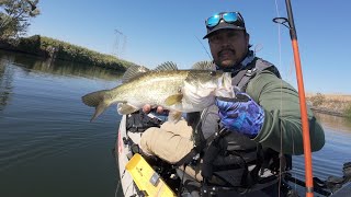 The Hunt for Fall Bass on the Delta