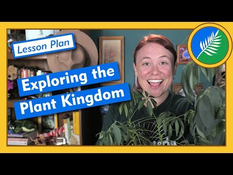 Exploring the Plant Kingdom - Lesson Plan