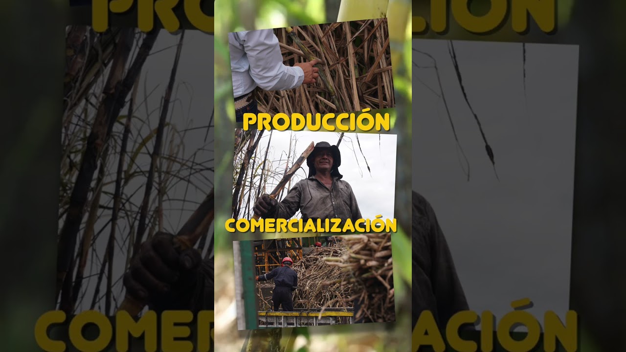#Efeméride: Aniversario de la Ley de Desarrollo Sustentable de la Caña de Azúcar