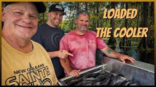 Catfish Frenzy in the Louisiana Swamp